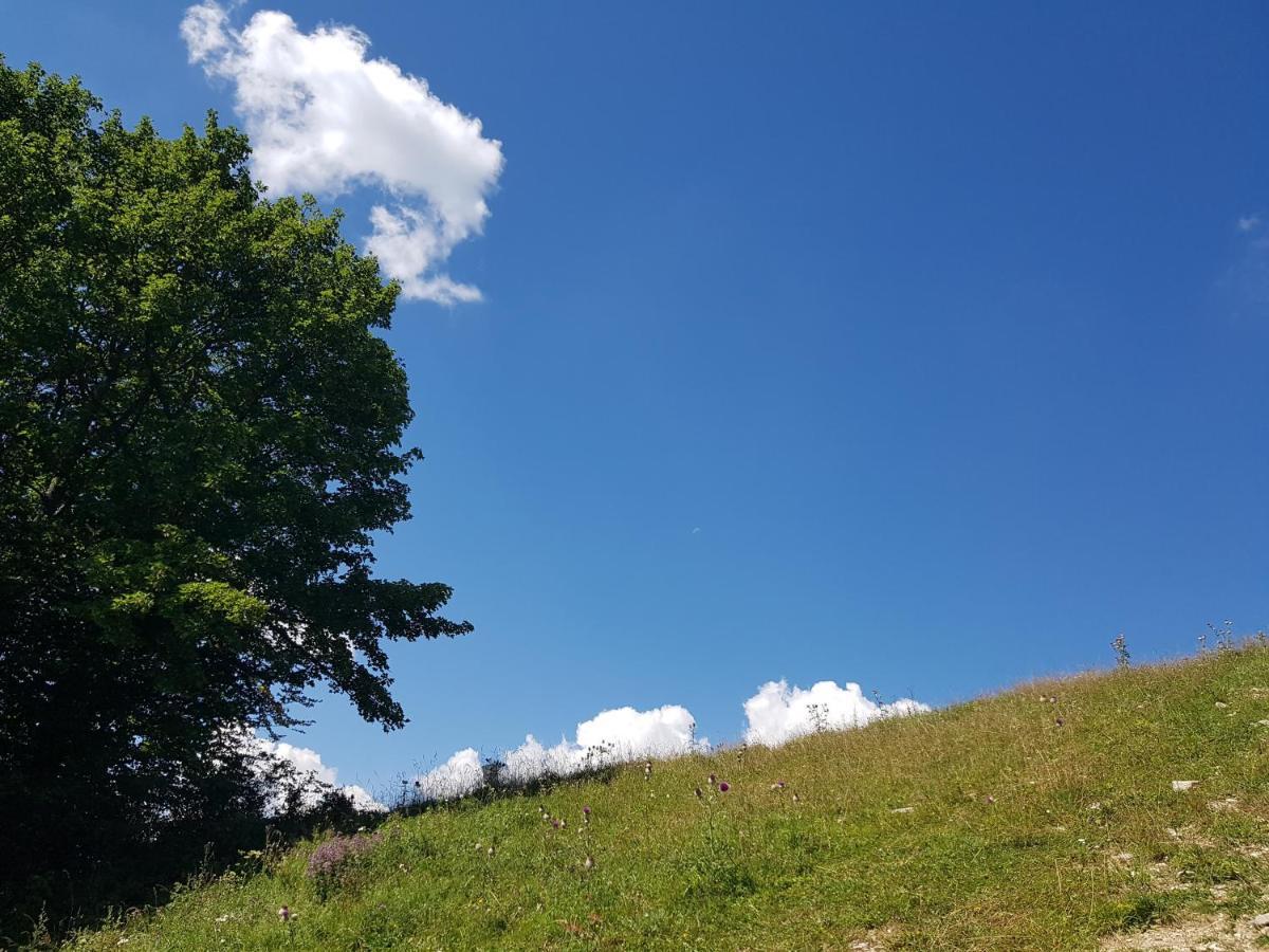 Apartmán Donovaly Alonia Exteriér fotografie